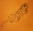 Kato Kat