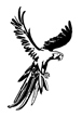 Melody's parrot