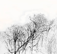 St Ann's Wells 