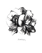 amaryllis 2