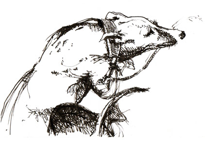 sketch of '' by Solange Leon